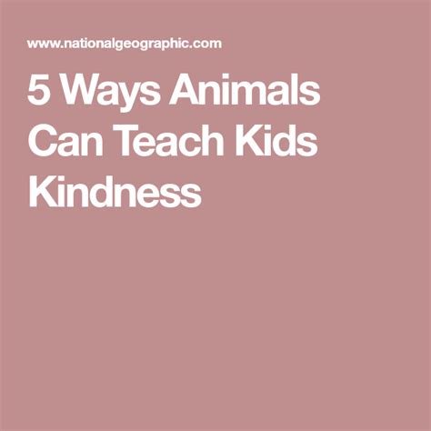 5 Ways Animals Can Boost Kindness In Kids