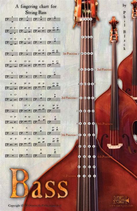 Bass Fingering Chart Poster Phil Black Tony Santorella Carolyn Connors 9781585607280 Amazon Com Books Bass Fingering Chart Poster Phil Black Tony Santorella Carolyn Connors 9781585607280 Amazon Com Books