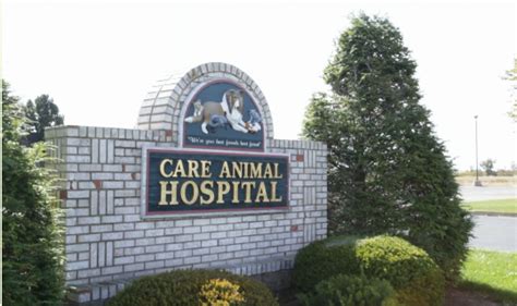 Care Animal Hospital Muncie Indiana Pet Care