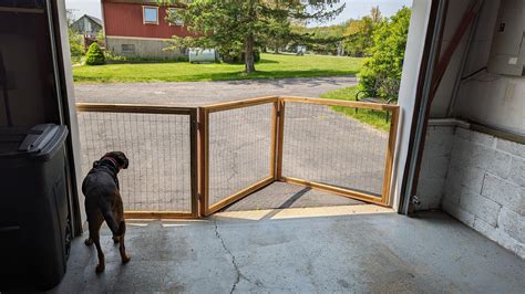 5 Dog Fence Car Tips