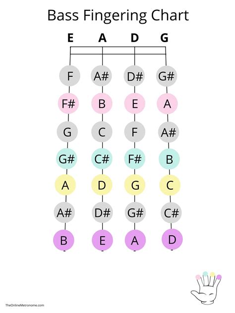 Double Bass Fingerboard Chart Double Bass Fingerboard Chart