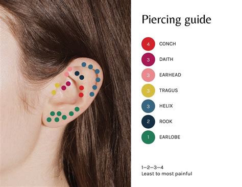 Ear Piercing Chart 17 Types Explained Pain Level Price Photo Ear Piercing Chart 17 Types Explained Pain Level Price Photo