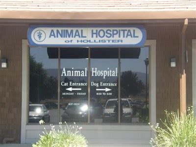 5 Tips Hollister Animal Hospital
