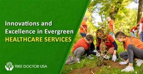 Innovations And Excellence In Evergreen Healthcare Services Innovations And Excellence In Evergreen Healthcare Services