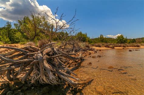 Pictures Of Nude Beaches Pictures Stock Photos Pictures Royalty Free