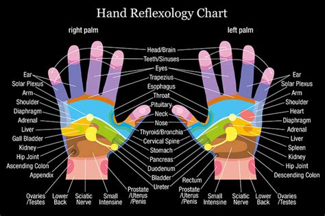 Discover the Unique Features of the Reflexology Chart for Hands