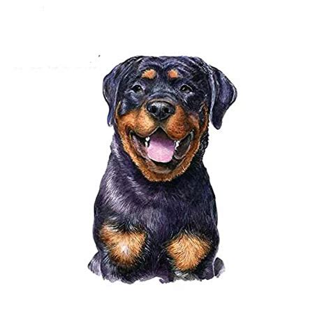 Rottweiler Neck And Collar Size 2 Months 6 Months And Fully Grown Veselka Canine Couture Rottweiler Neck And Collar Size 2 Months 6 Months And Fully Grown Veselka Canine Couture