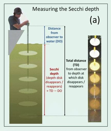 Measuring Water Clarity with Secchi Depth