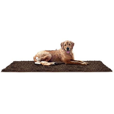 Top 5 Best Doormats For Dogs August 2024 Review Windchimesguide Top 5 Best Doormats For Dogs August 2024 Review Windchimesguide