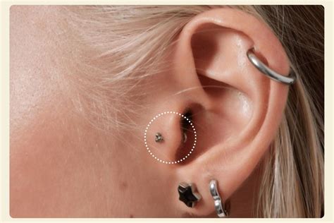 Tragus Piercing Pain Healing Jewelry And Tips Tragus Piercing Pain Healing Jewelry And Tips