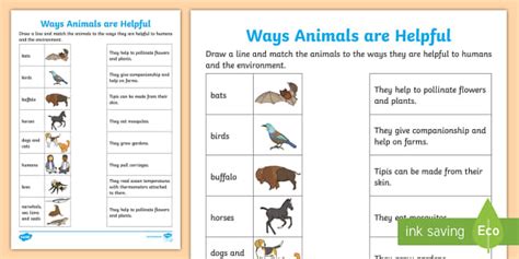 Ways Animals Are Helpful Activity Profesor Hizo Twinkl