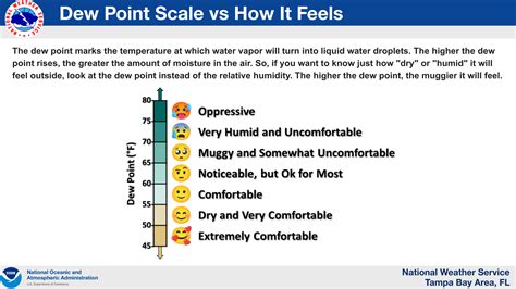 What Is Dew Point A Meteorologist Explains That Sticky Air Popular Science What Is Dew Point A Meteorologist Explains That Sticky Air Popular Science