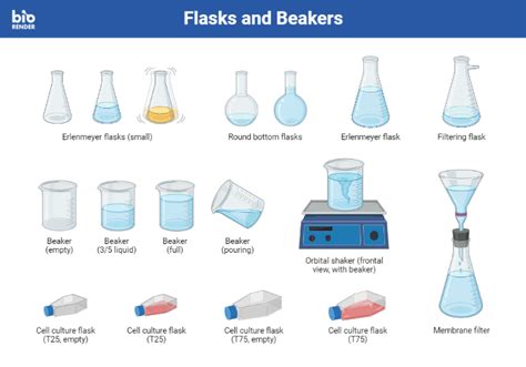 Whats Best Beaker vs Flask Lab Essentials for Precise Scientific Experiments