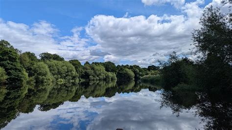 Wildlife For Wellbeing Tees Valley Wildlife Trust